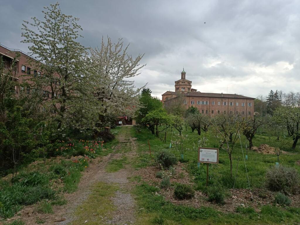 orti santamaria di campagna