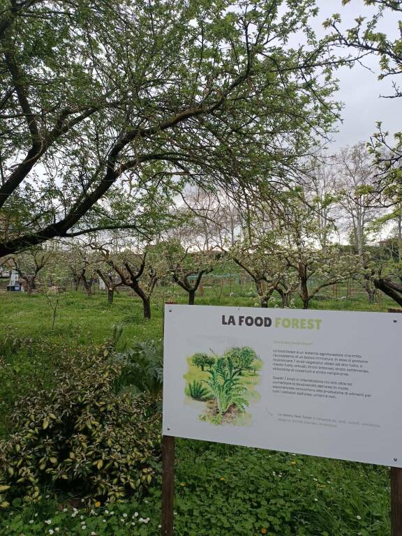 La redazione del Civico 11 visita il frutteto di S. Maria di Campagna