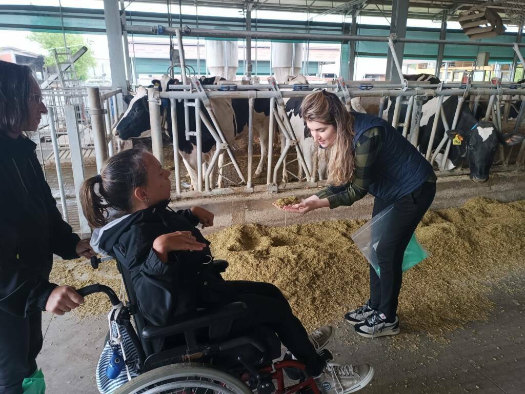 La redazione di Universi visita la fattoria Cerzoo della Cattolica