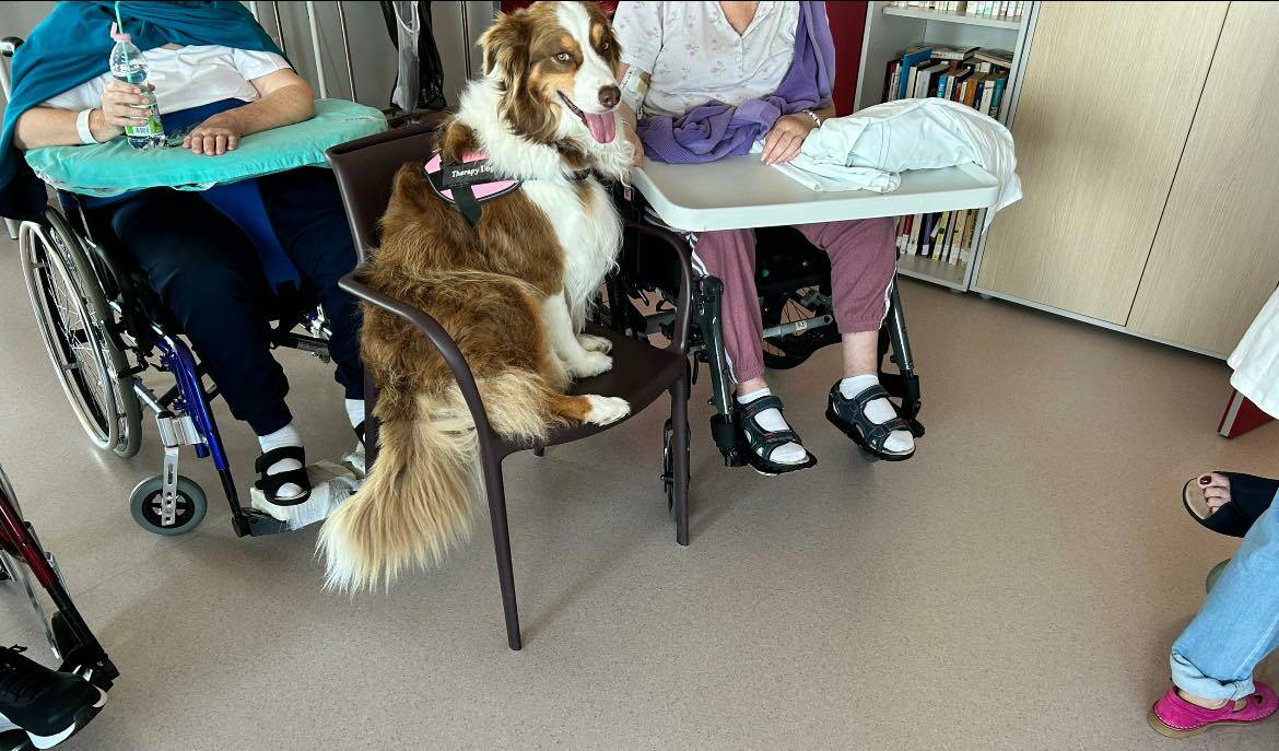 Pet Therapy e molto altro alla "Collina dei ciuchini"