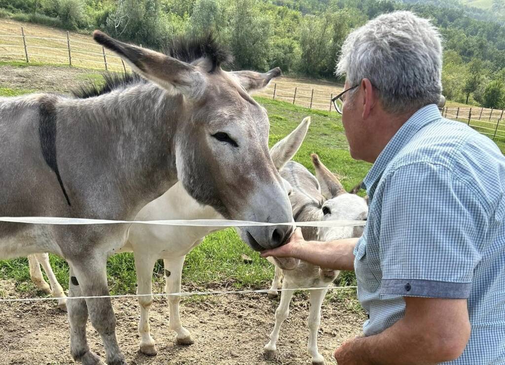 Pet Therapy e molto altro alla "Collina dei ciuchini"