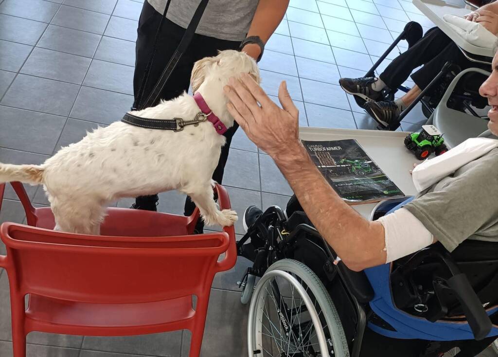 Pet Therapy e molto altro alla "Collina dei ciuchini"