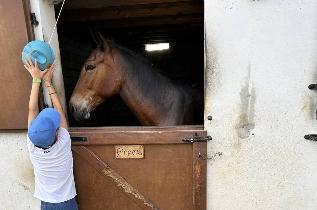 Pet Therapy e molto altro alla "Collina dei ciuchini"