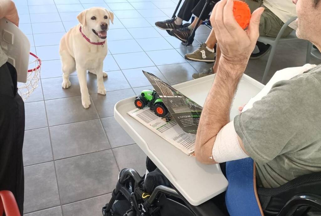 Pet Therapy e molto altro alla "Collina dei ciuchini"