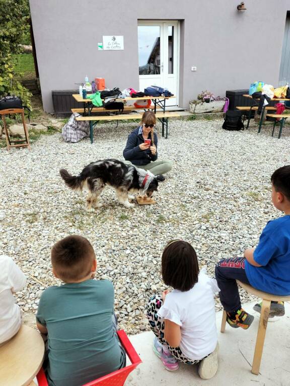 Pet Therapy e molto altro alla "Collina dei ciuchini"