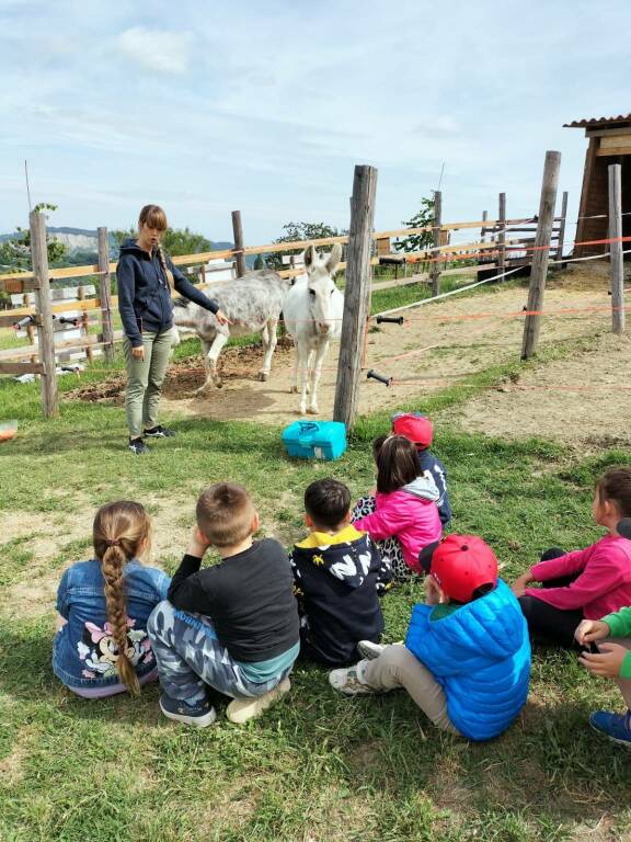 Pet Therapy e molto altro alla "Collina dei ciuchini"