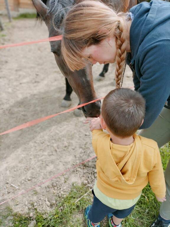 Pet Therapy e molto altro alla "Collina dei ciuchini"